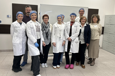 Egzaminy zawodowe na kierunku technik dentystyczny 2026